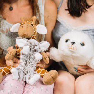 Plushies & Soft Toys Masterclass